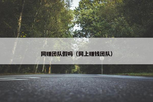 网赚团队假吗（网上赚钱团队）