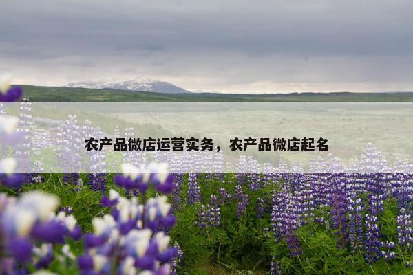 农产品微店运营实务，农产品微店起名