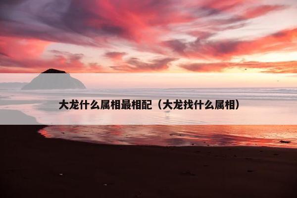 大龙什么属相最相配（大龙找什么属相）