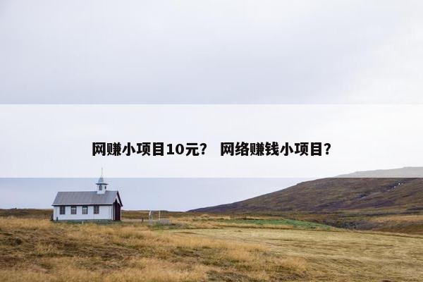 网赚小项目10元？ 网络赚钱小项目？