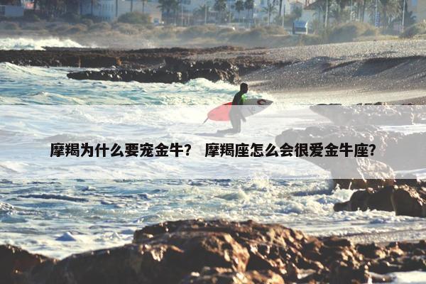 摩羯为什么要宠金牛？ 摩羯座怎么会很爱金牛座？