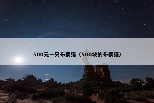 500元一只布偶猫（500块的布偶猫）