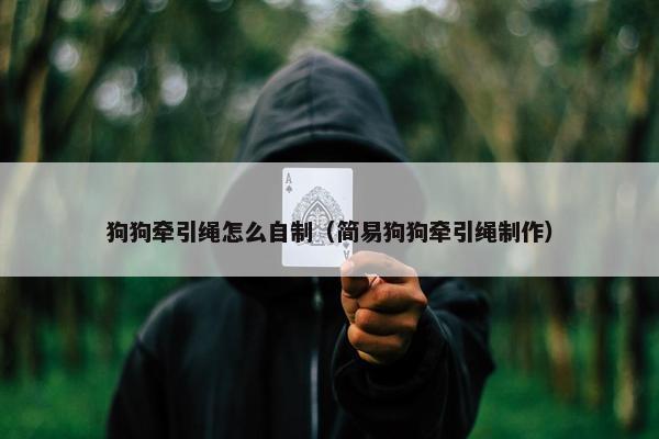 狗狗牵引绳怎么自制（简易狗狗牵引绳制作）