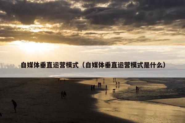 自媒体垂直运营模式（自媒体垂直运营模式是什么）