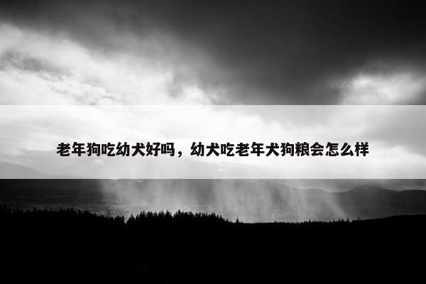 老年狗吃幼犬好吗，幼犬吃老年犬狗粮会怎么样