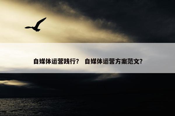 自媒体运营践行？ 自媒体运营方案范文？