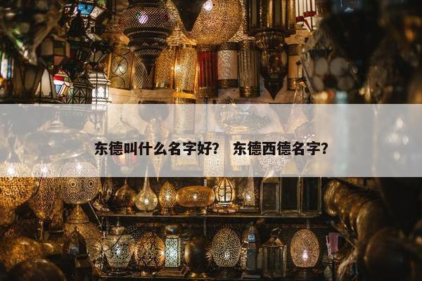 东德叫什么名字好？ 东德西德名字？