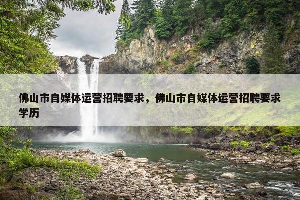 佛山市自媒体运营招聘要求，佛山市自媒体运营招聘要求学历