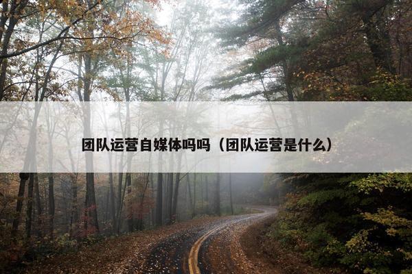 团队运营自媒体吗吗（团队运营是什么）