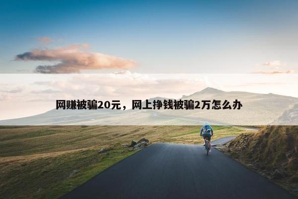 网赚被骗20元，网上挣钱被骗2万怎么办