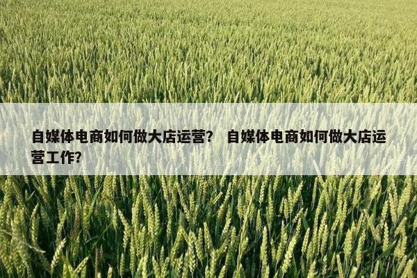 自媒体电商如何做大店运营？ 自媒体电商如何做大店运营工作？