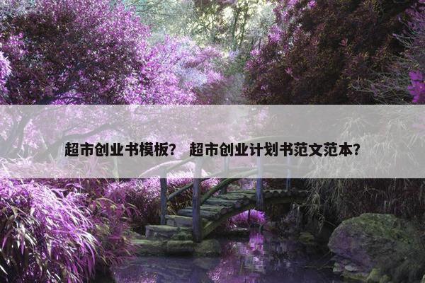 超市创业书模板？ 超市创业计划书范文范本？