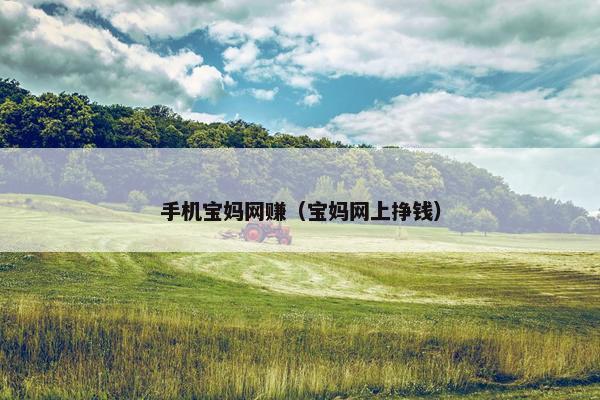 手机宝妈网赚（宝妈网上挣钱）