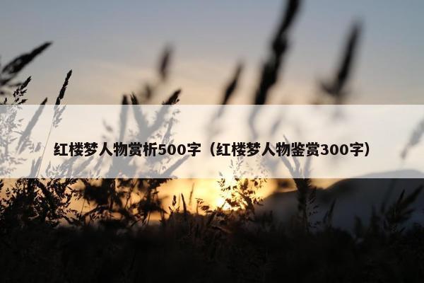 红楼梦人物赏析500字（红楼梦人物鉴赏300字）