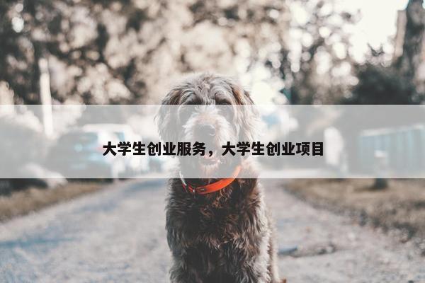 大学生创业服务，大学生创业项目