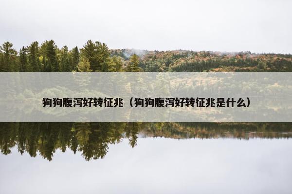 狗狗腹泻好转征兆（狗狗腹泻好转征兆是什么）