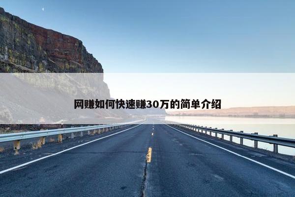网赚如何快速赚30万的简单介绍