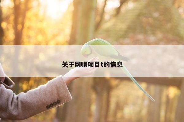 关于网赚项目t的信息