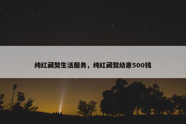 纯红藏獒生活服务，纯红藏獒幼崽500钱