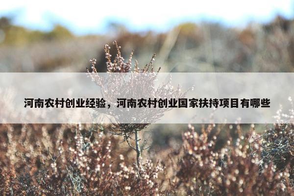 河南农村创业经验，河南农村创业国家扶持项目有哪些