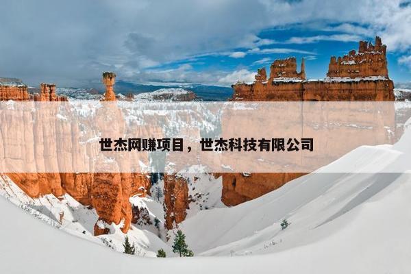 世杰网赚项目，世杰科技有限公司