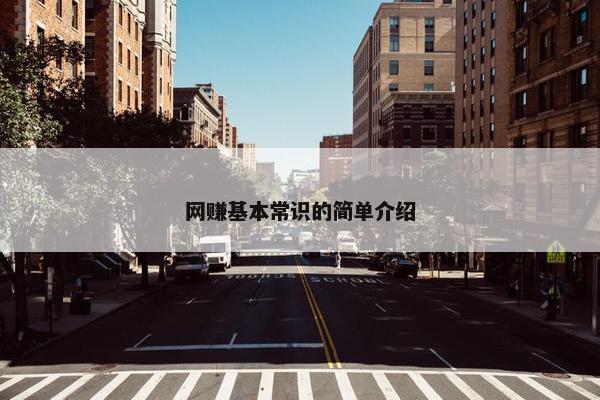 网赚基本常识的简单介绍