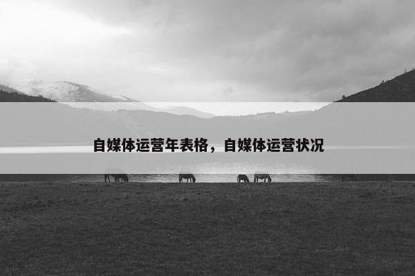 自媒体运营年表格，自媒体运营状况