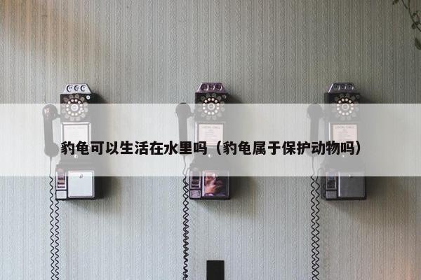 豹龟可以生活在水里吗（豹龟属于保护动物吗）