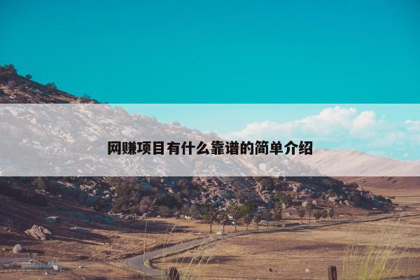网赚项目有什么靠谱的简单介绍