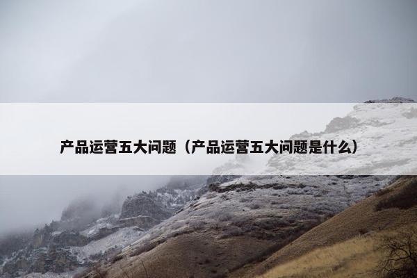 产品运营五大问题（产品运营五大问题是什么）