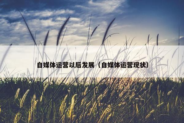 自媒体运营以后发展（自媒体运营现状）