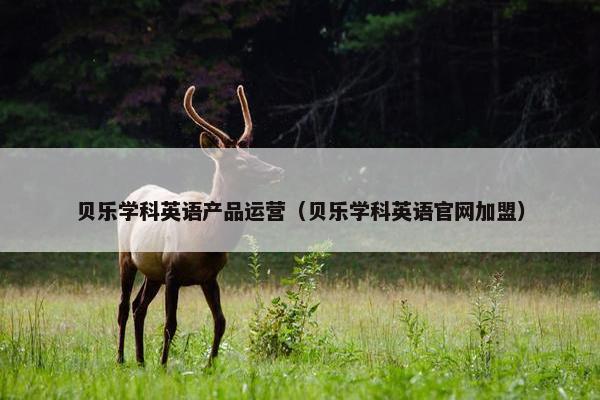 贝乐学科英语产品运营（贝乐学科英语官网加盟）
