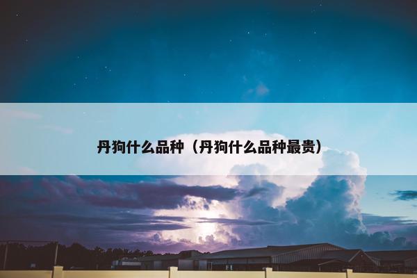 丹狗什么品种（丹狗什么品种最贵）