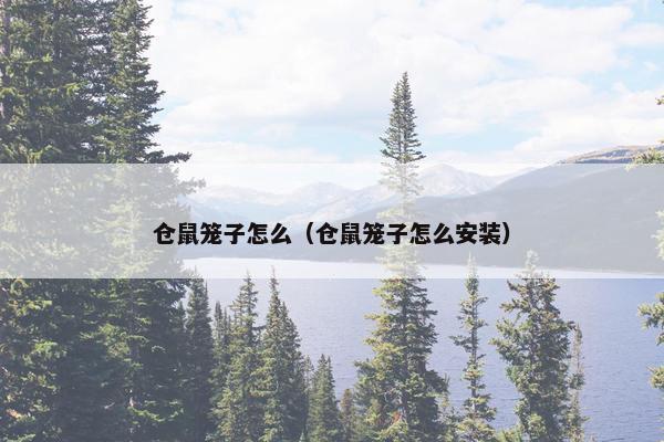 仓鼠笼子怎么（仓鼠笼子怎么安装）