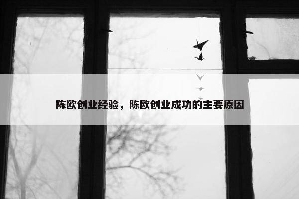 陈欧创业经验，陈欧创业成功的主要原因
