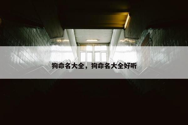 狗命名大全，狗命名大全好听