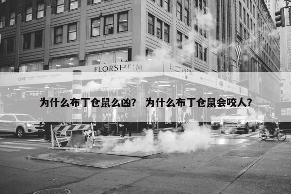 为什么布丁仓鼠么凶？ 为什么布丁仓鼠会咬人？