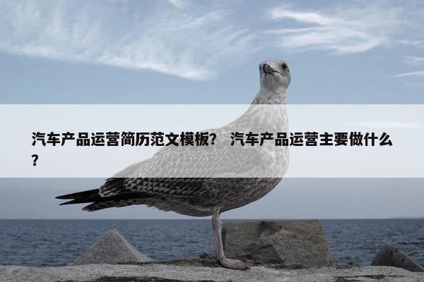 汽车产品运营简历范文模板？ 汽车产品运营主要做什么？