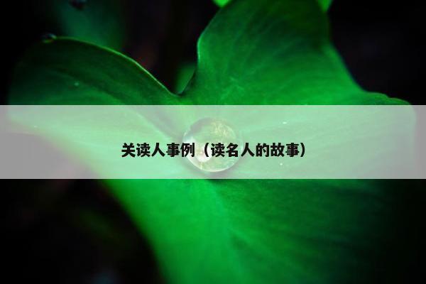 关读人事例（读名人的故事）