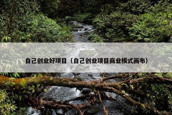 自己创业好项目（自己创业项目商业模式画布）