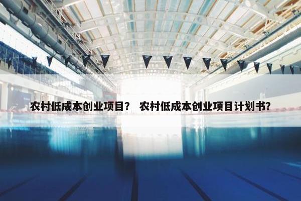 农村低成本创业项目？ 农村低成本创业项目计划书？