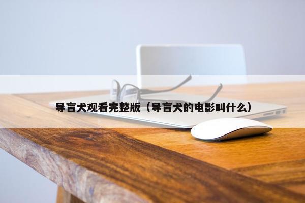 导盲犬观看完整版（导盲犬的电影叫什么）