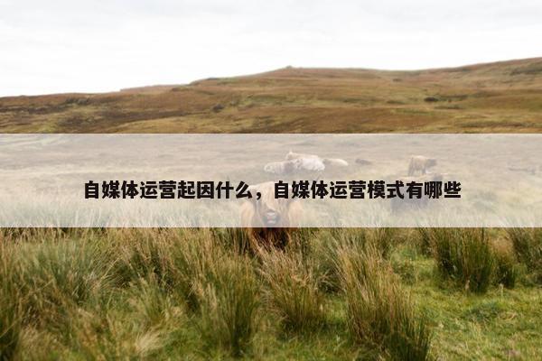 自媒体运营起因什么，自媒体运营模式有哪些
