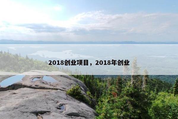 2018创业项目，2018年创业