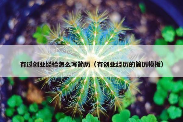 有过创业经验怎么写简历（有创业经历的简历模板）