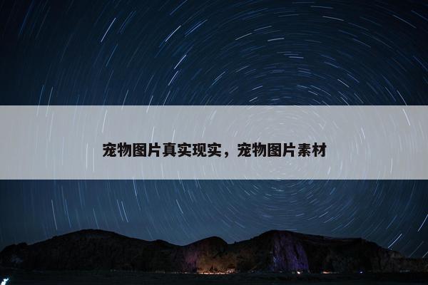 宠物图片真实现实，宠物图片素材