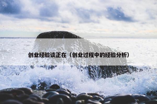 创业经验谈正在（创业过程中的经验分析）