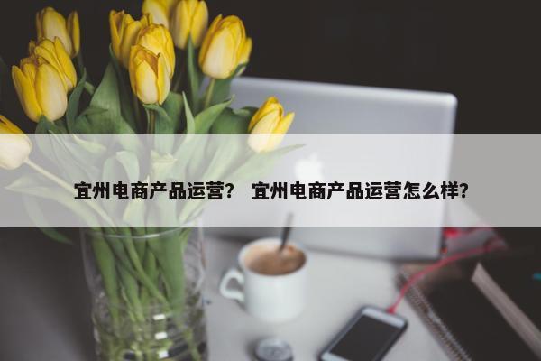 宜州电商产品运营？ 宜州电商产品运营怎么样？