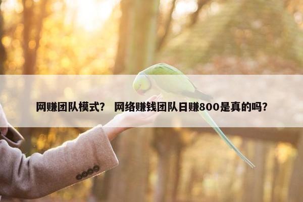 网赚团队模式？ 网络赚钱团队日赚800是真的吗？