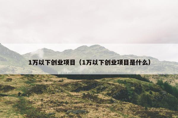 1万以下创业项目（1万以下创业项目是什么）